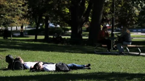 Park Couple Sunning 動画素材 8908428