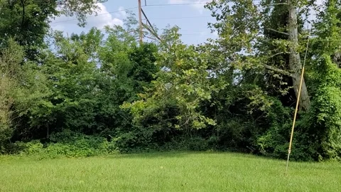 Park in Delaware, USA 库存影片 248388325