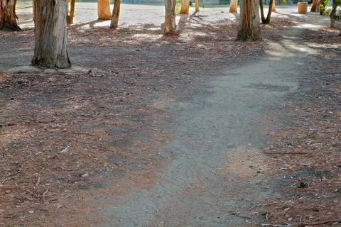 Park dirt path Stock Photos