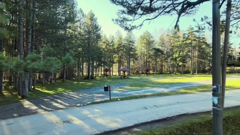 Park Divcibare Stock Footage 143806706