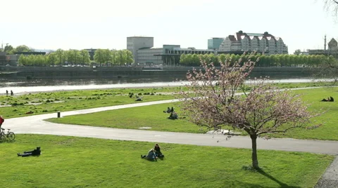 Park  in Dresden Stock Footage 40546141