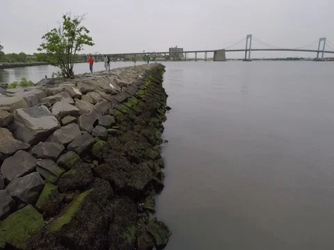Park drown shot Vidéo 76354127