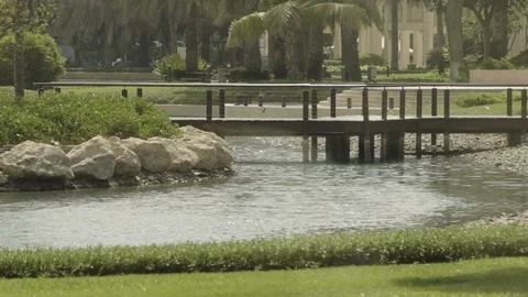 Park In Dubai Stock-Footage 116249874