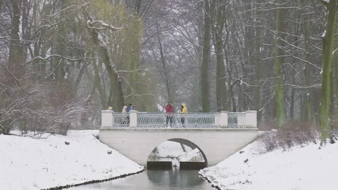 Park during a snowfall Stock Footage 111045532