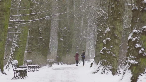 Park during a snowfall Stock Footage 111046000