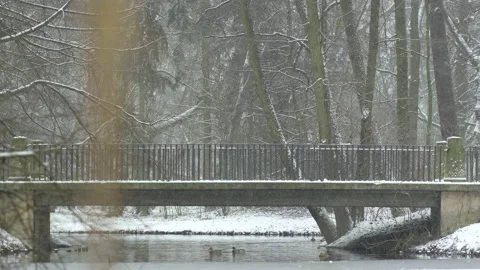 Park during a snowfall Stock Footage 111047890