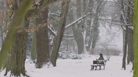 Park during a snowfall Stock Footage 111049183