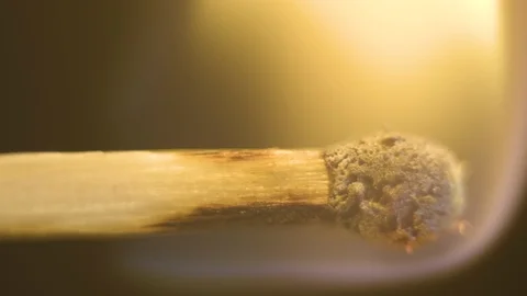 Park during a snowfall Stock Footage 124278489