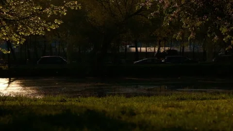 Park during sunset, road filled with cars slowly moving through evening traffic 库存影片 334986412
