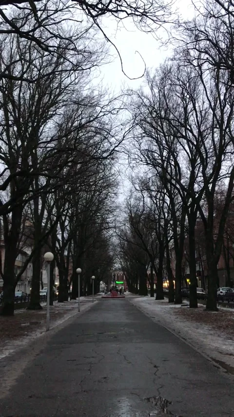 A park in early winter Stock Footage 169859098