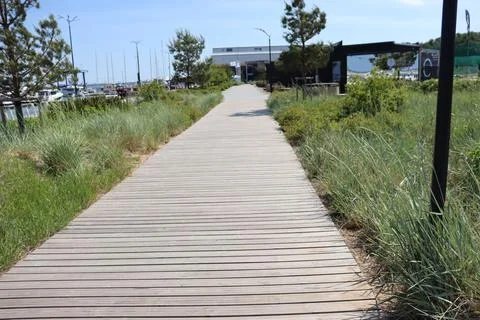 Park elements, paths, flower beds Fotos Stock