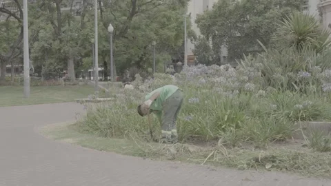 A park employee working in a park in Buenos Aires, Argentina Video stock 345139620