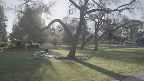 Park &amp; Empty Playground - Handheld Documentary footage Stock Footage 247927522