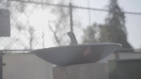 Park &amp; Empty Playground - Handheld Documentary footage Stock Footage 247931898