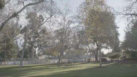 Park &amp; Empty Playground - Handheld Documentary footage Stock Footage 247933352