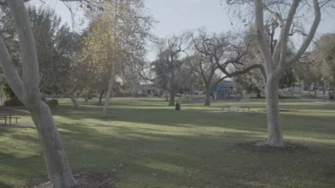 Park &amp; Empty Playground - Handheld Documentary footage Stock Footage 247933765