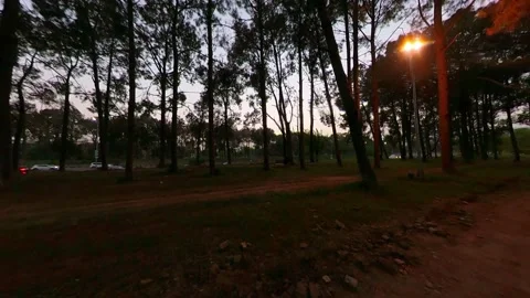 Park in The Evening With Trees and Walking Track, Traffic in the Background Stock Footage 172650322