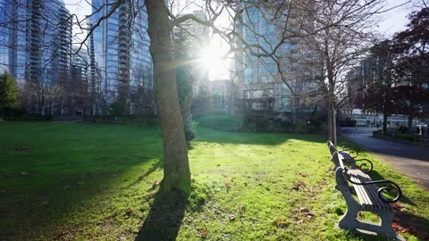 A park in the fall, Vancouver, BC, Canada, November 7th, 2020 Vídeos de archivo 144456166