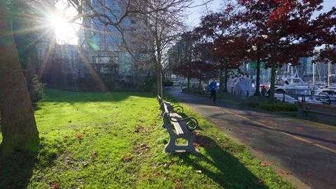 A park in the fall, Vancouver, BC, Canada, November 7th, 2020 Видео 144456216
