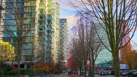 A park in the fall, Vancouver, BC, Canada, November 7th, 2020 Vídeos de archivo 144464901