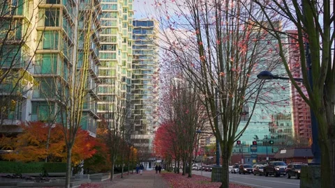 A park in the fall, Vancouver, BC, Canada, November 7th, 2020 스톡 동영상 144464908