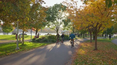 A park in the fall, Vancouver, BC, Canada, November 7th, 2020 Vídeos de archivo 144464971