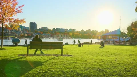 A park in the fall, Vancouver, BC, Canada, November 7th, 2020 動画素材 144464998