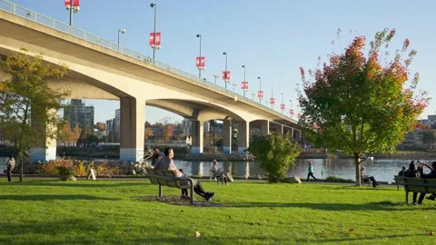 A park in the fall, Vancouver, BC, Canada, November 7th, 2020 스톡 동영상 144465002