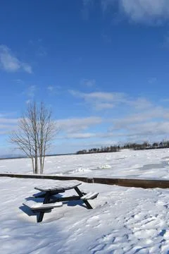 The park of the falls in winter Stock Photos