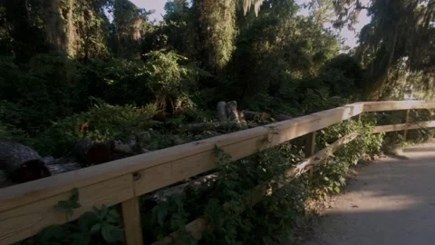 Park Fence Stock Footage 135768320