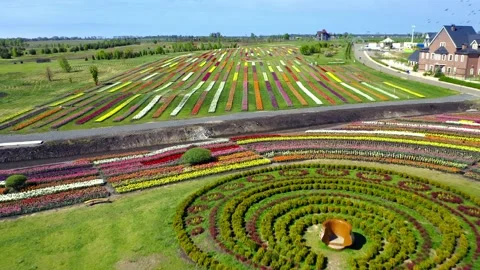 Park with fields of colorful tulips Video stock 147193174