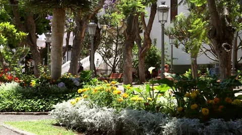 Park With Flowers Video stock 11337328