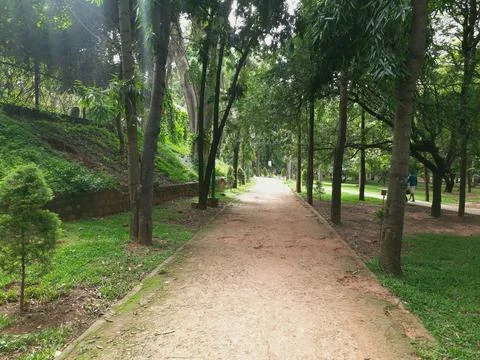 Park foot path Stock-Fotos