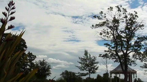 In the Park Stock Footage 821690