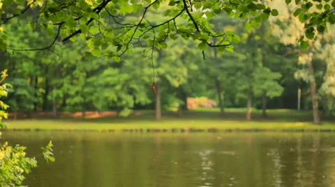 Park Stock Footage 879282