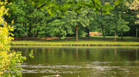 Park Stock Footage 879287