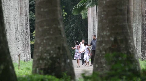 Park Stock Footage 1160331