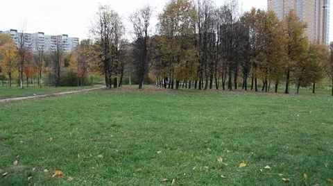 Park Stockbeeldmateriaal 8931629