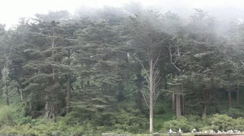 Park Stockbeeldmateriaal 11128378