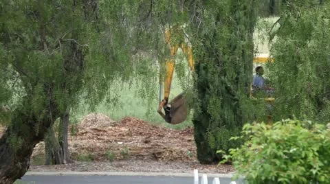 Park Stock Footage 11142635