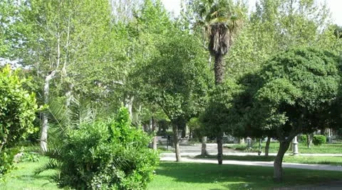 Park Video stock 11238352