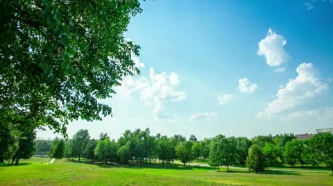 Park Stock Footage 11520993