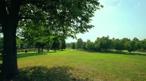 Park Stock Footage 11527725