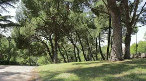 Park Stock Footage 12101902