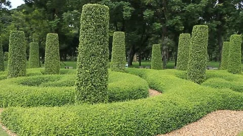 Park Stock Footage 12230127