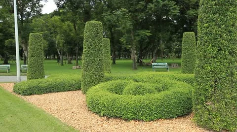 Park Stock Footage 12231473