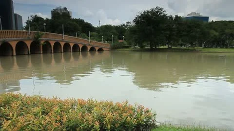 Park Stock Footage 12234568