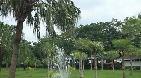 Park Video stock 12248949