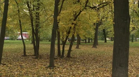 Park Stock Footage 12430159