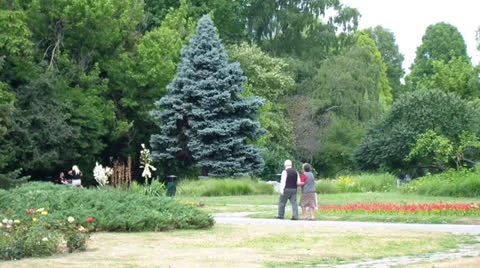 Park Stock Footage 25041851